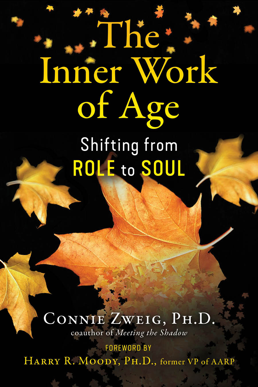 Book- The Inner Work of Age
